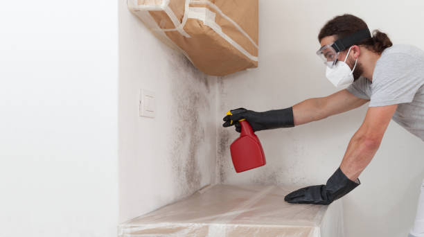 Professional Attic Mold Remediation technician working in Gloucester, MA