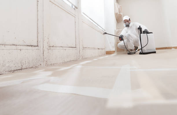 24/7 Emergency Attic Mold Remediation experts in Gloucester, MA